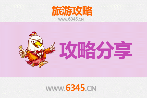 沧州盐山旅游攻略：跟团与自由行深度对比